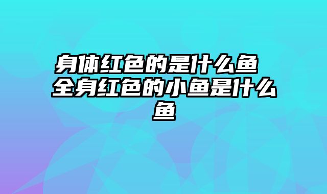 身体红色的是什么鱼 全身红色的小鱼是什么鱼