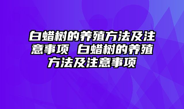 白蜡树的养殖方法及注意事项 白蜡树的养殖方法及注意事项