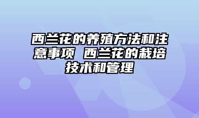 西兰花的养殖方法和注意事项 西兰花的栽培技术和管理