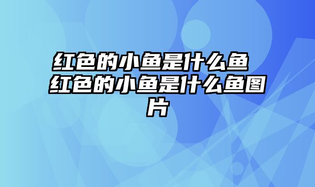 红色的小鱼是什么鱼 红色的小鱼是什么鱼图片 