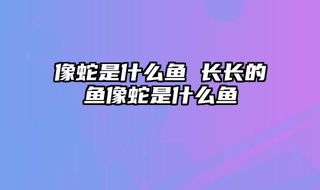 像蛇是什么鱼 长长的鱼像蛇是什么鱼