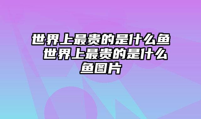 世界上最贵的是什么鱼 世界上最贵的是什么鱼图片