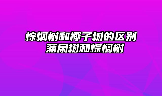 棕榈树和椰子树的区别 蒲扇树和棕榈树