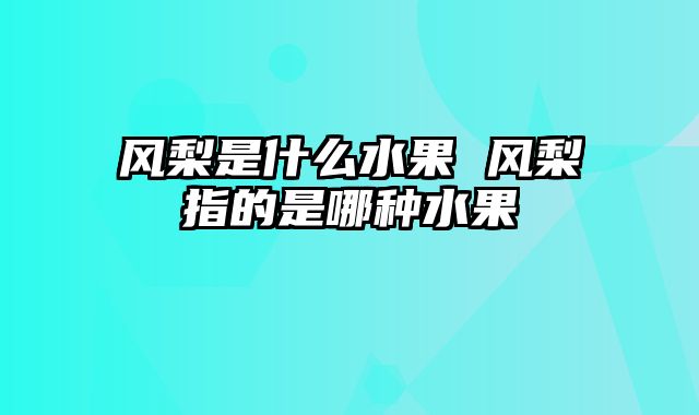 风梨是什么水果 风梨指的是哪种水果