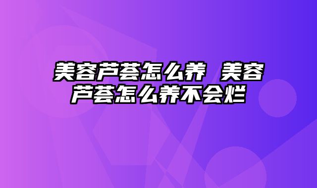 美容芦荟怎么养 美容芦荟怎么养不会烂