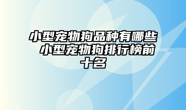 小型宠物狗品种有哪些 小型宠物狗排行榜前十名