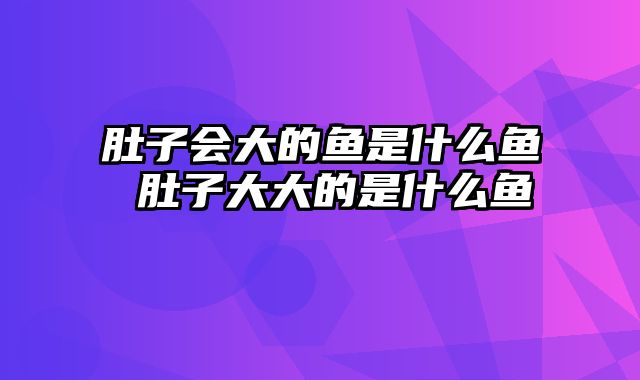 肚子会大的鱼是什么鱼 肚子大大的是什么鱼