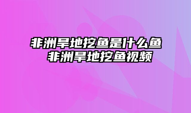 非洲旱地挖鱼是什么鱼 非洲旱地挖鱼视频