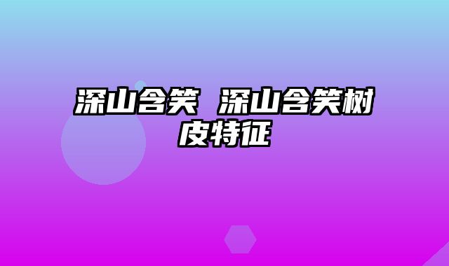 深山含笑 深山含笑树皮特征