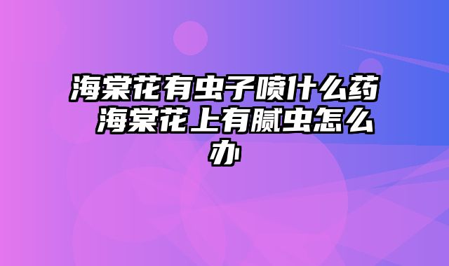 海棠花有虫子喷什么药 海棠花上有腻虫怎么办