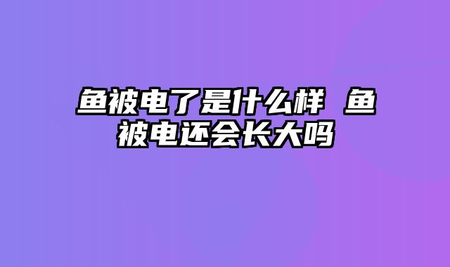 鱼被电了是什么样 鱼被电还会长大吗