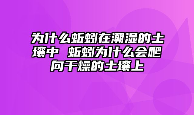 为什么蚯蚓在潮湿的土壤中 蚯蚓为什么会爬向干燥的土壤上