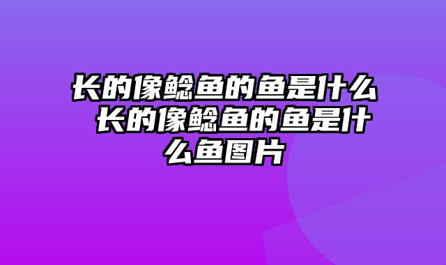 长的像鲶鱼的鱼是什么 长的像鲶鱼的鱼是什么鱼图片