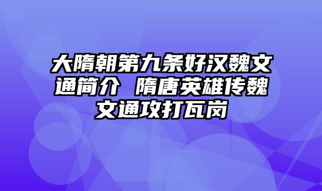 大隋朝第九条好汉魏文通简介 隋唐英雄传魏文通攻打瓦岗