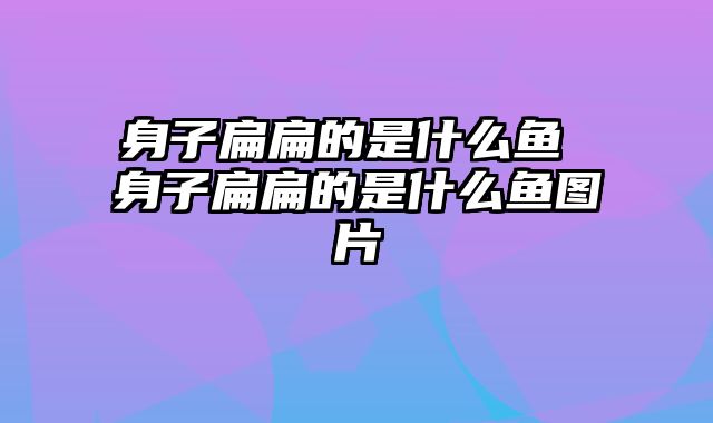 身子扁扁的是什么鱼 身子扁扁的是什么鱼图片