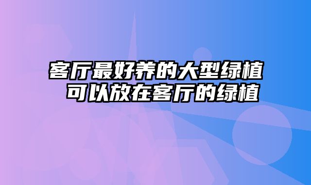 客厅最好养的大型绿植 可以放在客厅的绿植