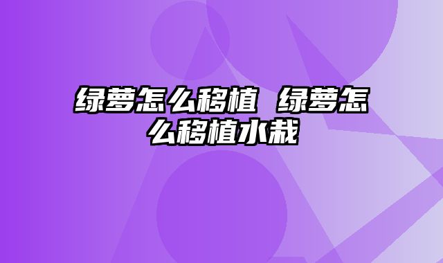 绿萝怎么移植 绿萝怎么移植水栽