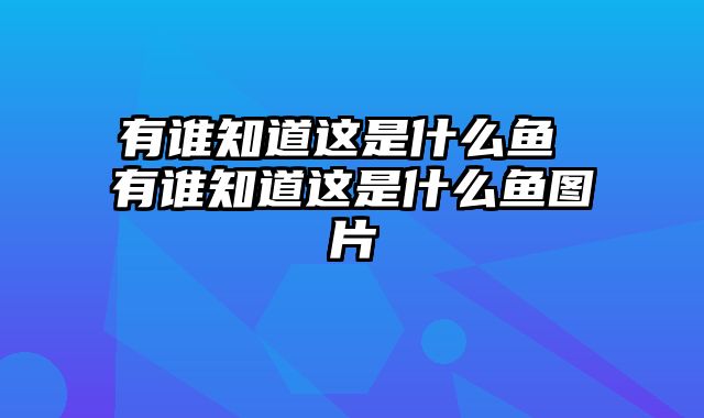 有谁知道这是什么鱼 有谁知道这是什么鱼图片