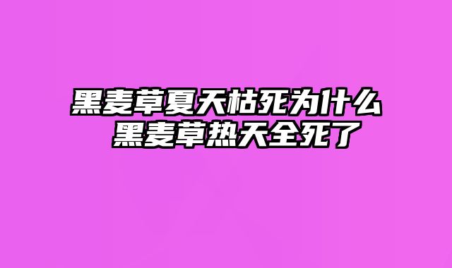 黑麦草夏天枯死为什么 黑麦草热天全死了