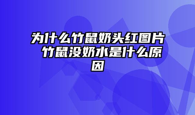 为什么竹鼠奶头红图片 竹鼠没奶水是什么原因