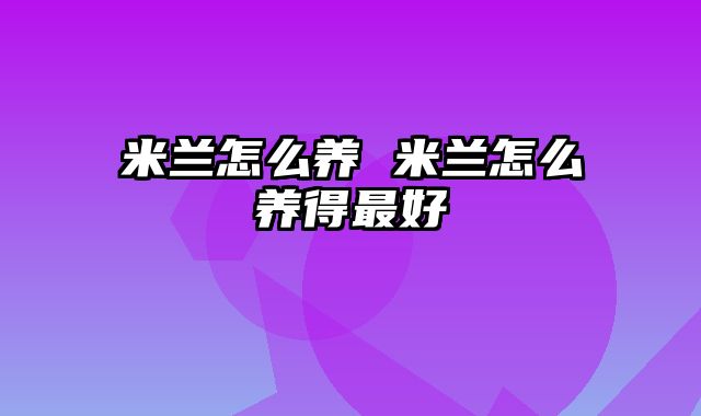 米兰怎么养 米兰怎么养得最好