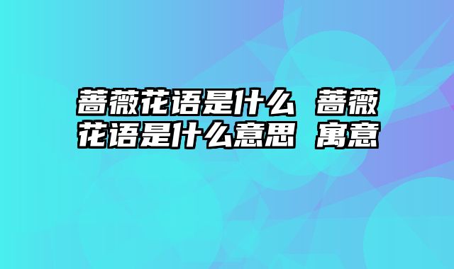 蔷薇花语是什么 蔷薇花语是什么意思 寓意