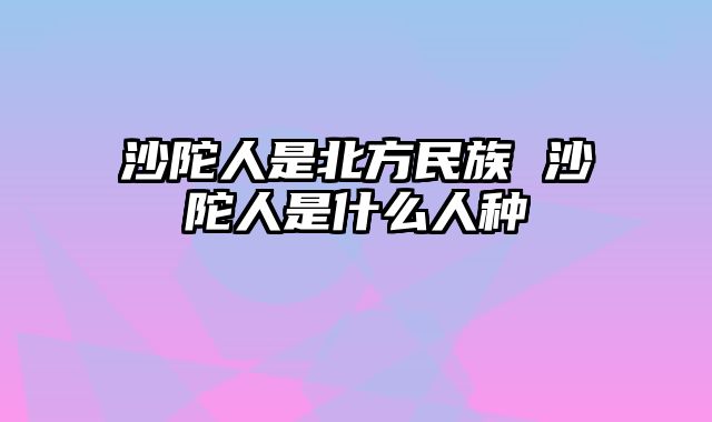 沙陀人是北方民族 沙陀人是什么人种