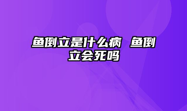 鱼倒立是什么病 鱼倒立会死吗