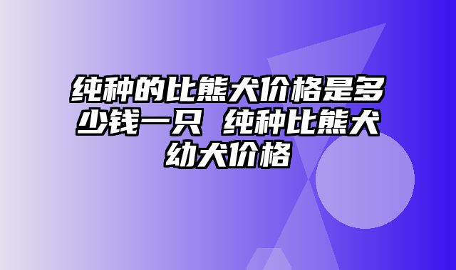 纯种的比熊犬价格是多少钱一只 纯种比熊犬幼犬价格