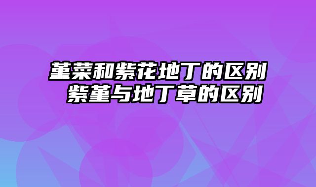 堇菜和紫花地丁的区别 紫堇与地丁草的区别