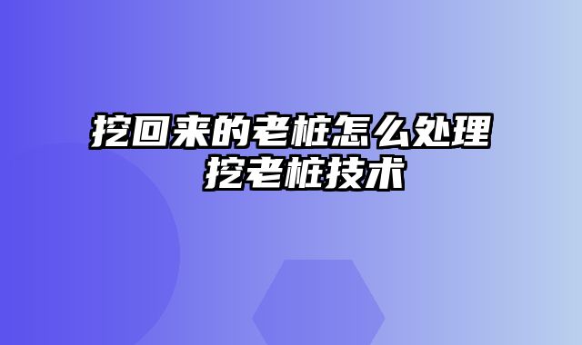 挖回来的老桩怎么处理 挖老桩技术