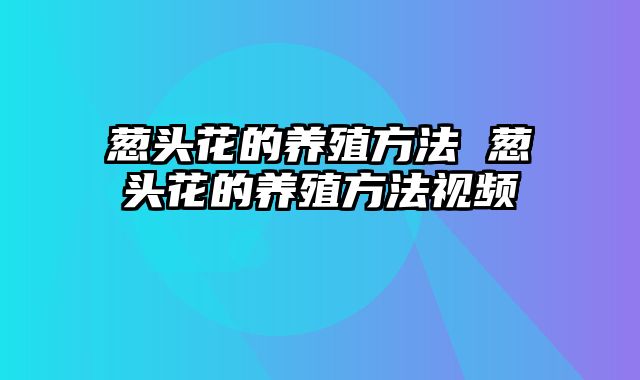 葱头花的养殖方法 葱头花的养殖方法视频