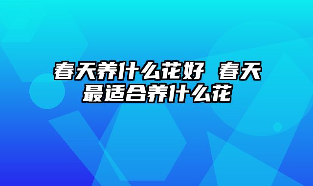 春天养什么花好 春天最适合养什么花