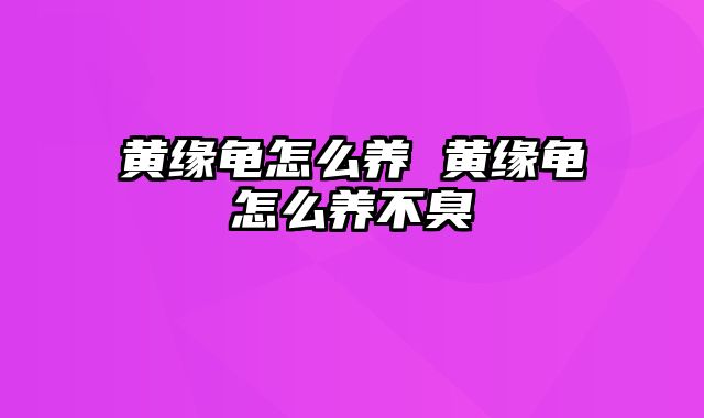 黄缘龟怎么养 黄缘龟怎么养不臭