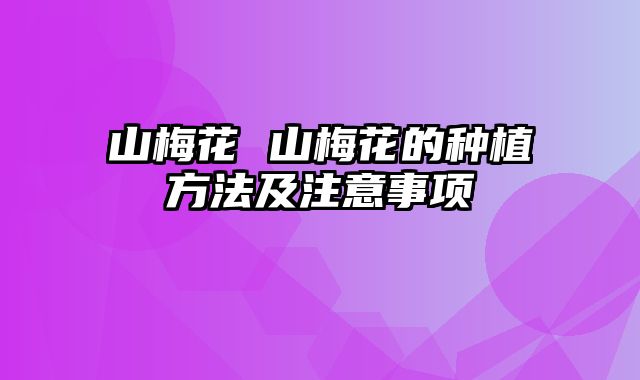 山梅花 山梅花的种植方法及注意事项