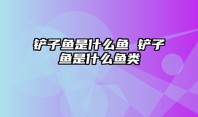 铲子鱼是什么鱼 铲子鱼是什么鱼类