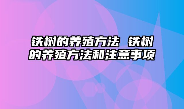 铁树的养殖方法 铁树的养殖方法和注意事项