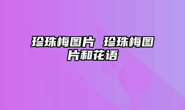 珍珠梅图片 珍珠梅图片和花语