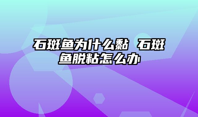 石斑鱼为什么黏 石斑鱼脱粘怎么办