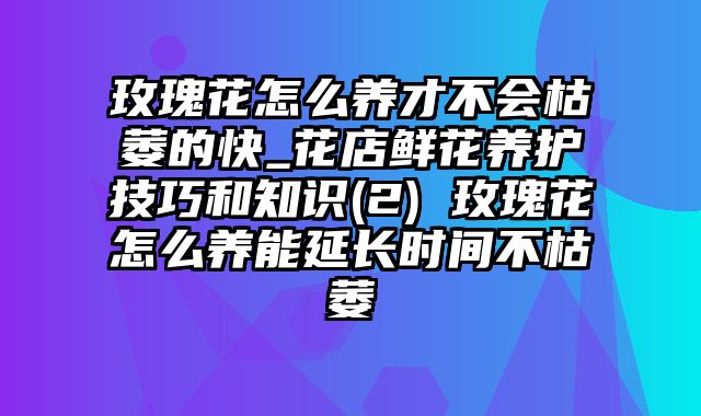 玫瑰花怎么养才不会枯萎的快_花店鲜花养护技巧和知识(2) 玫瑰花怎么养能延长时间不枯萎