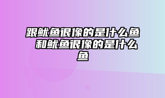 跟鱿鱼很像的是什么鱼 和鱿鱼很像的是什么鱼