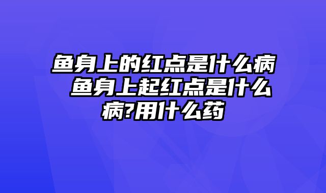 鱼身上的红点是什么病 鱼身上起红点是什么病?用什么药