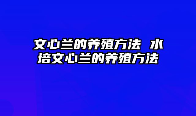 文心兰的养殖方法 水培文心兰的养殖方法