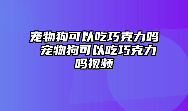 宠物狗可以吃巧克力吗 宠物狗可以吃巧克力吗视频