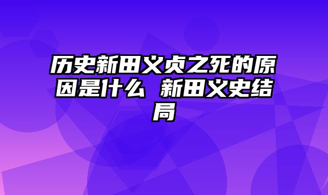 历史新田义贞之死的原因是什么 新田义史结局