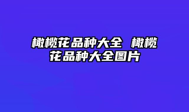 橄榄花品种大全 橄榄花品种大全图片