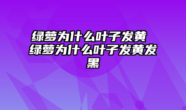 绿萝为什么叶子发黄 绿萝为什么叶子发黄发黑