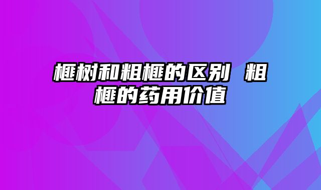 榧树和粗榧的区别 粗榧的药用价值