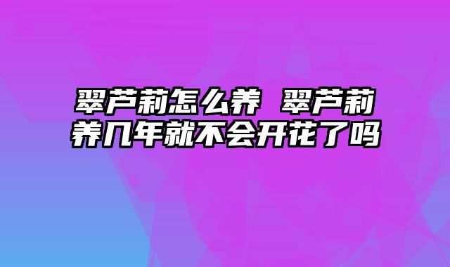 翠芦莉怎么养 翠芦莉养几年就不会开花了吗