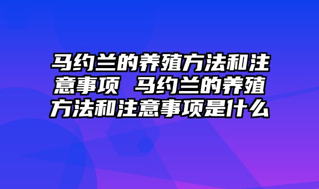 马约兰的养殖方法和注意事项 马约兰的养殖方法和注意事项是什么